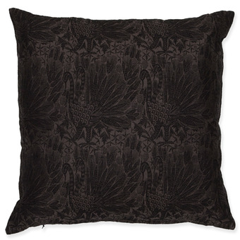 Thumb_swan_black-brown_45