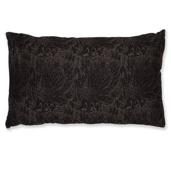 Thumb_swan_black-brown_35
